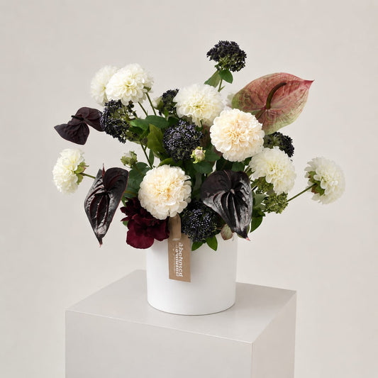 Midnight Bloom