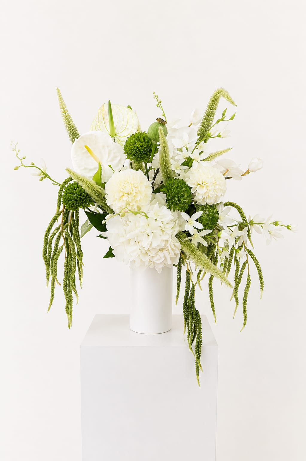Evergreen Bloom