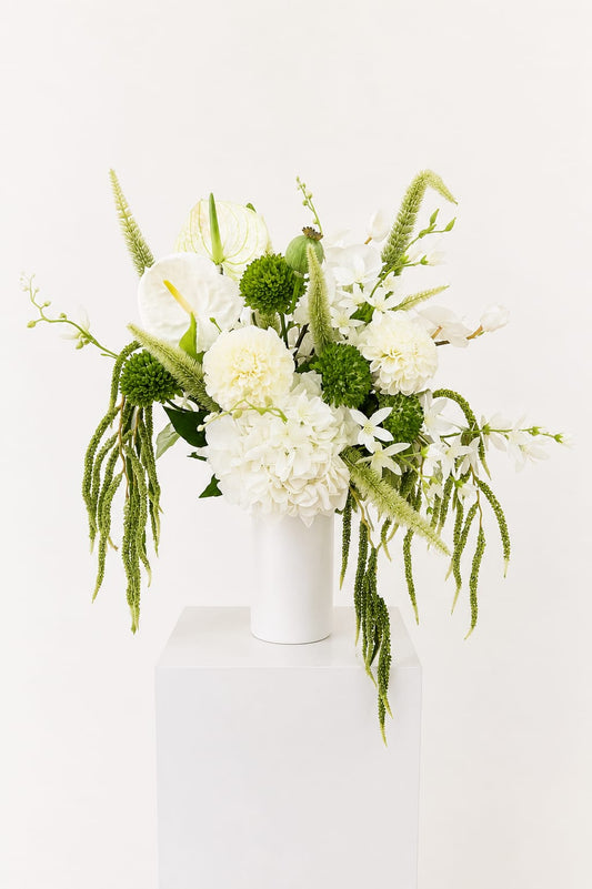 Evergreen Bloom