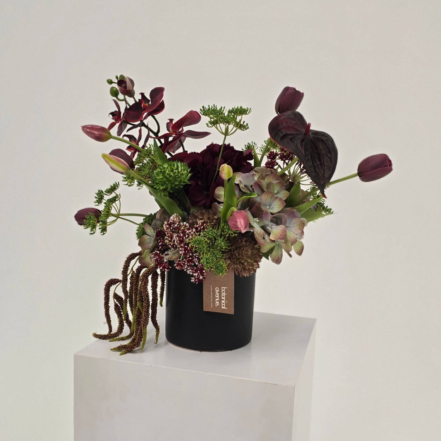 Moody Wild Blooms